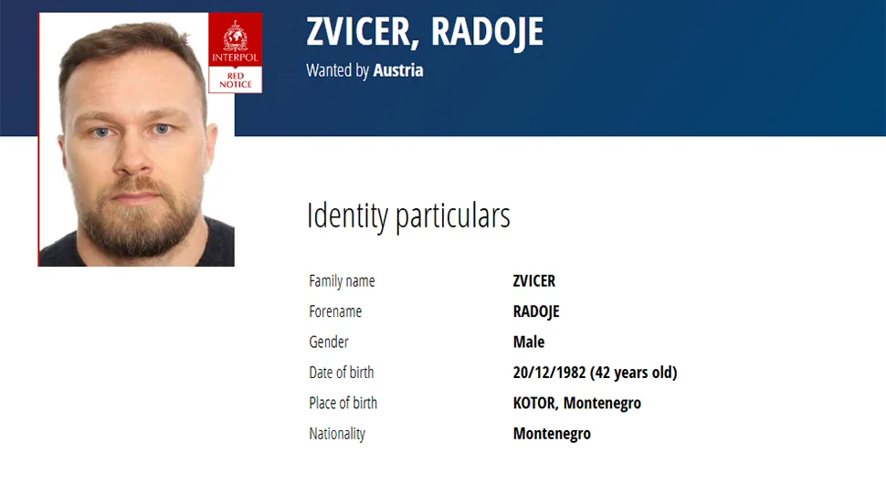 zvicer radoje.webp